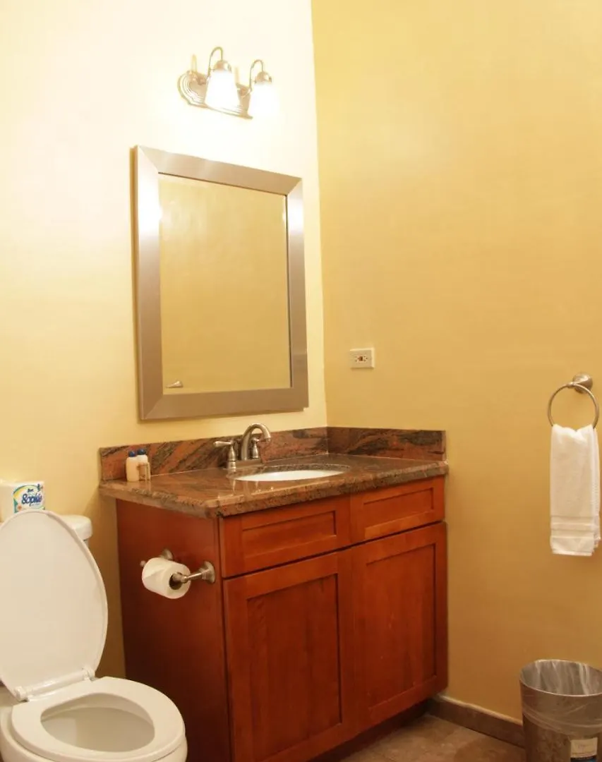 The Wexford Hotel Montego Bay 3*,